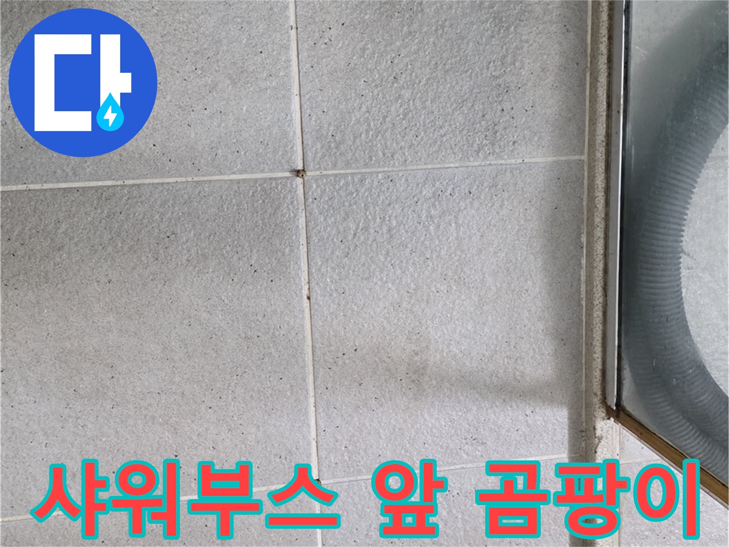 분당 운중동 욕실 샤워부스 앞 - 타일 틈새 검은 곰팡이는 습기와 누수의 신호입니다.