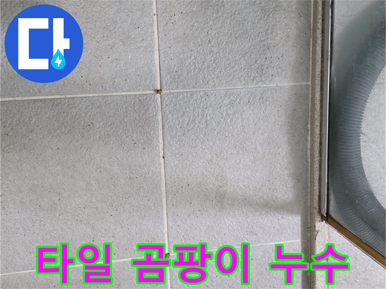 분당 운중동 욕실 타일 틈새 곰팡이 - 곰팡이는 습한 환경을 나타내며, 누수의 간접적인 증거가 될 수 있습니다.