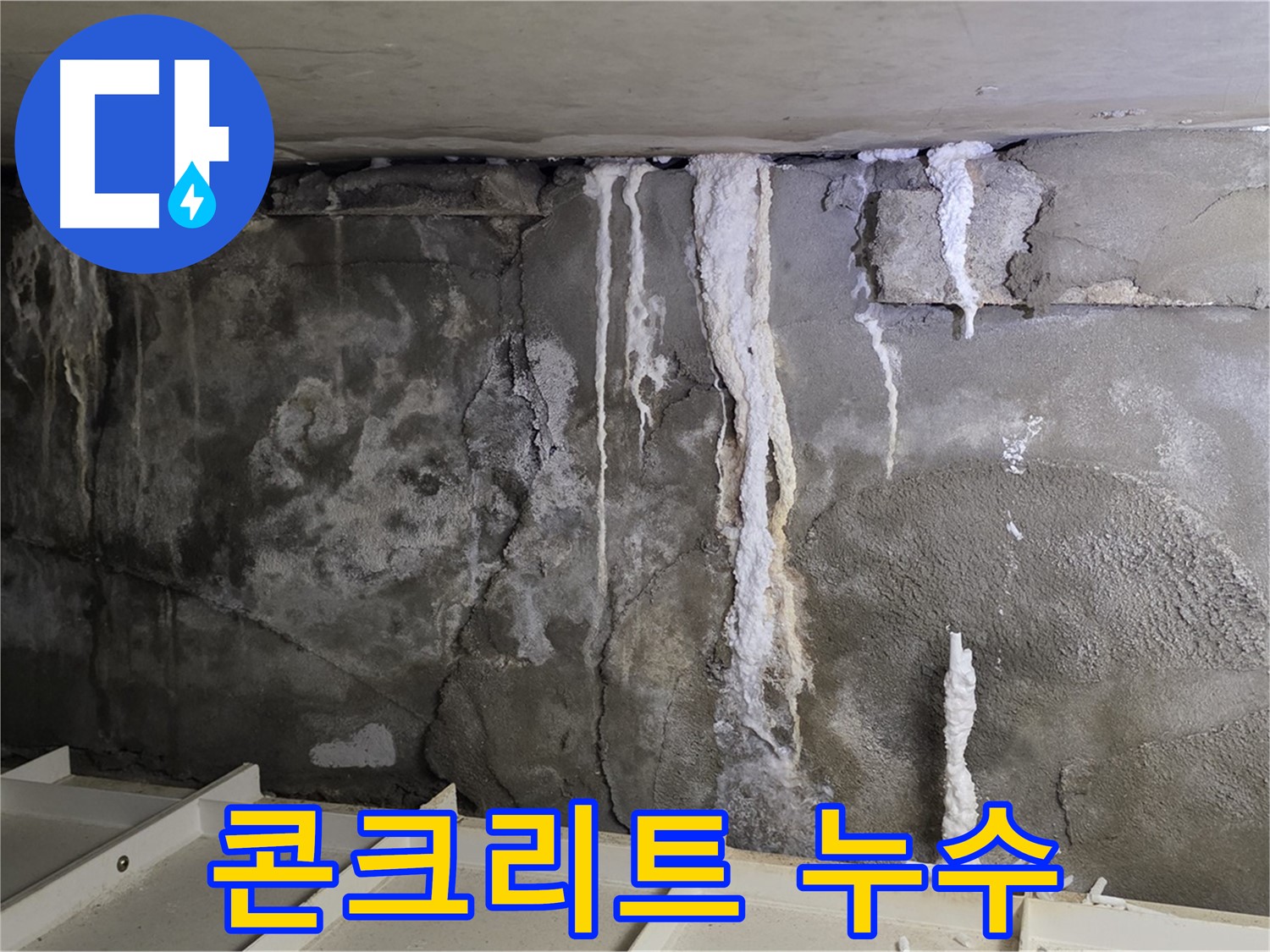 분당 운중동 지하주차장 콘크리트 누수 - 정밀 진단으로 문제 해결