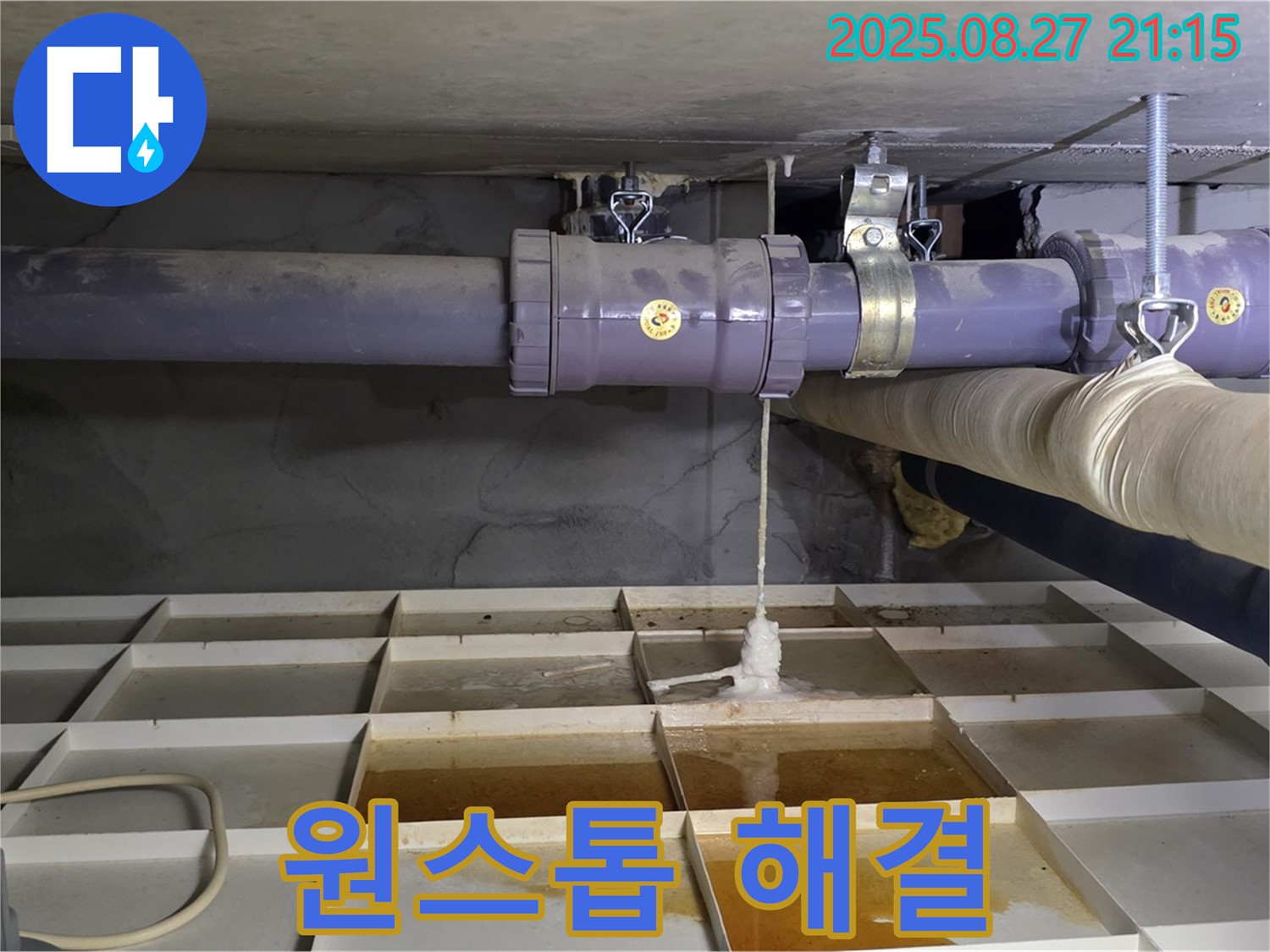 분당구 운중동 산운마을 6단지 - 누수 탐지부터 완벽 시공까지 원스톱으로