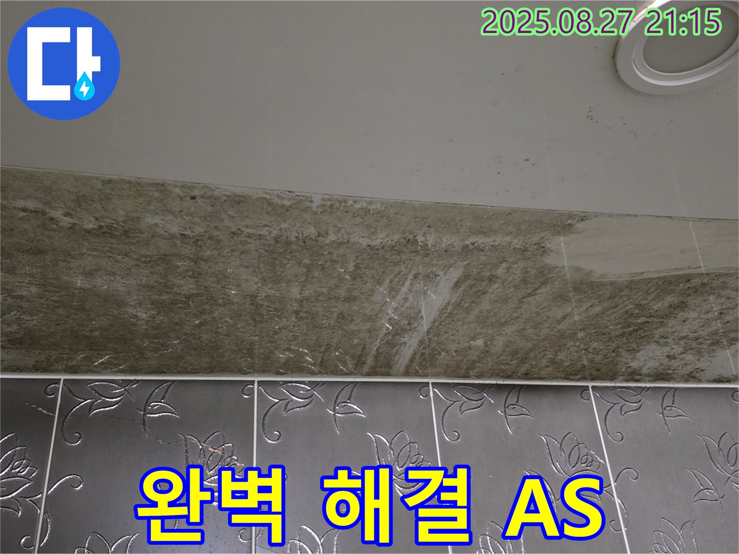 성남 누수 전문가 - 분당구 운중동 산운마을 아파트, 곰팡이 핀 천장 누수, 완벽한 해결과 A/S를 책임 보장합니다.