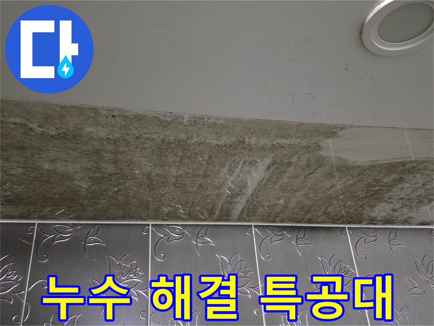 곰팡이로 점령된 화장실 천장 - 누수 해결 특공대 출동