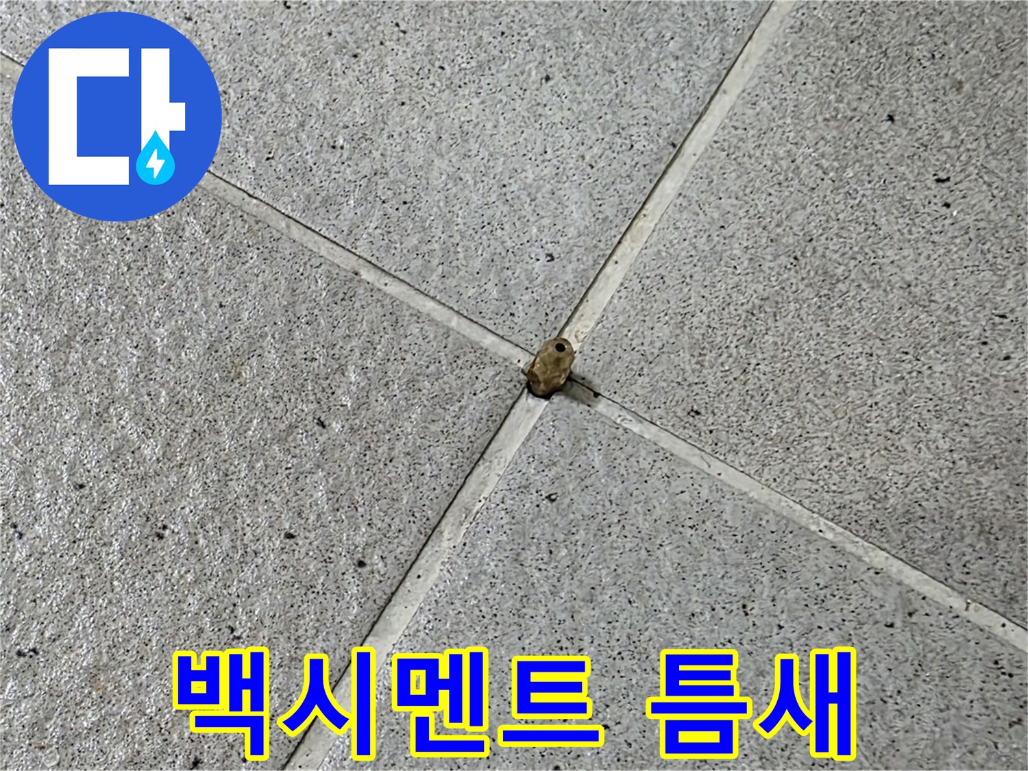 성남 분당 산운로 아파트 - 백시멘트 틈새, 누수 초기 발견이 중요합니다.