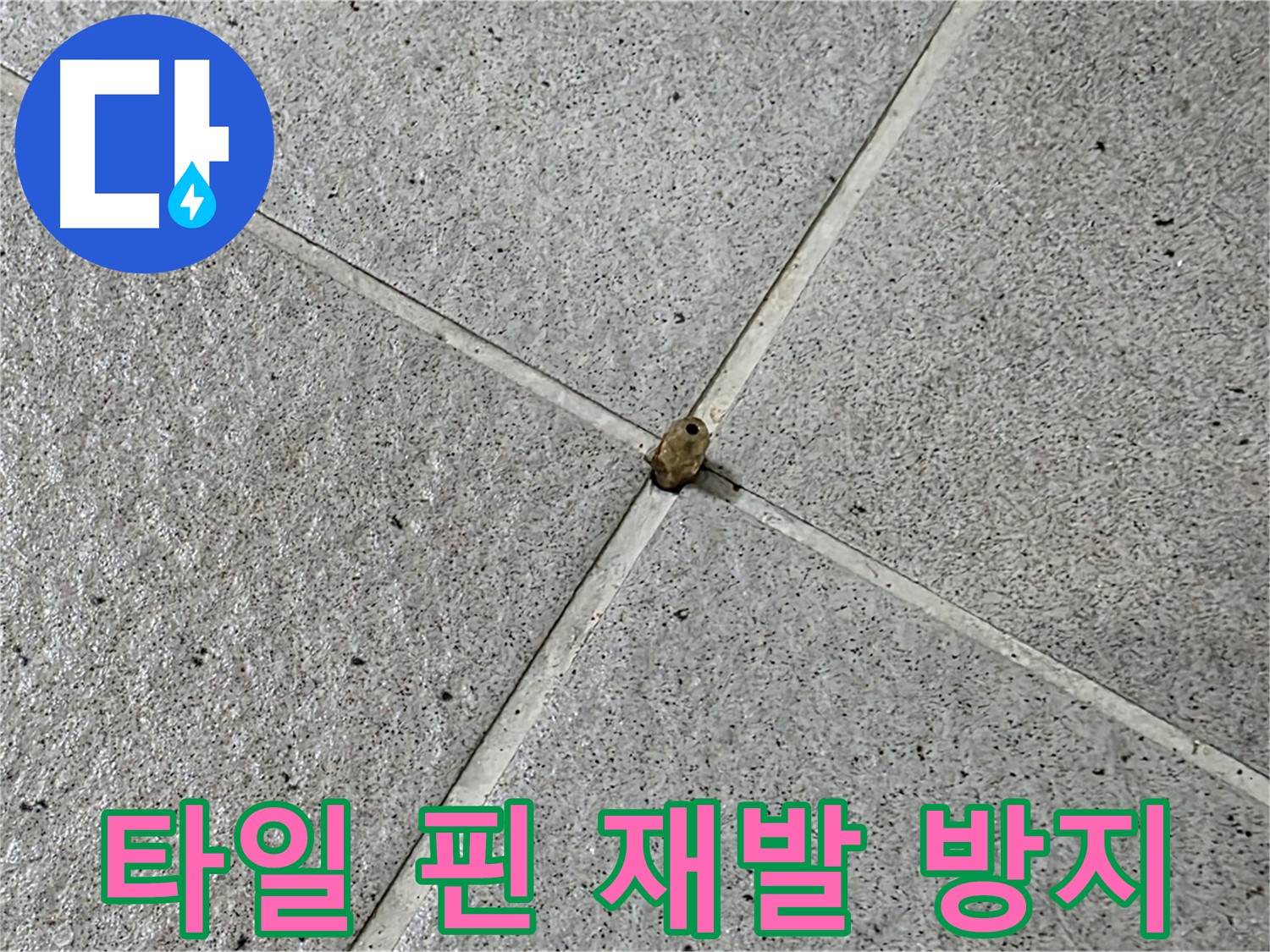 성남 분당 산운로 아파트 - 타일 핀 누수, 재발 방지를 위한 완벽 시공!