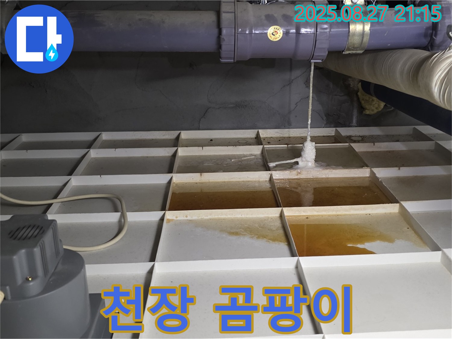 성남 분당 운중동 산운로 - 물이 스며든 천장과 곰팡이 - 건강을 위협하는 환경