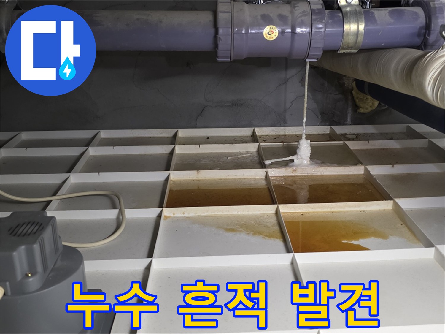 성남 분당 운중동 산운마을 6단지에서 누수 흔적을 발견한 모습 - 작은 흔적도 놓치지 않고 꼼꼼하게 확인합니다.