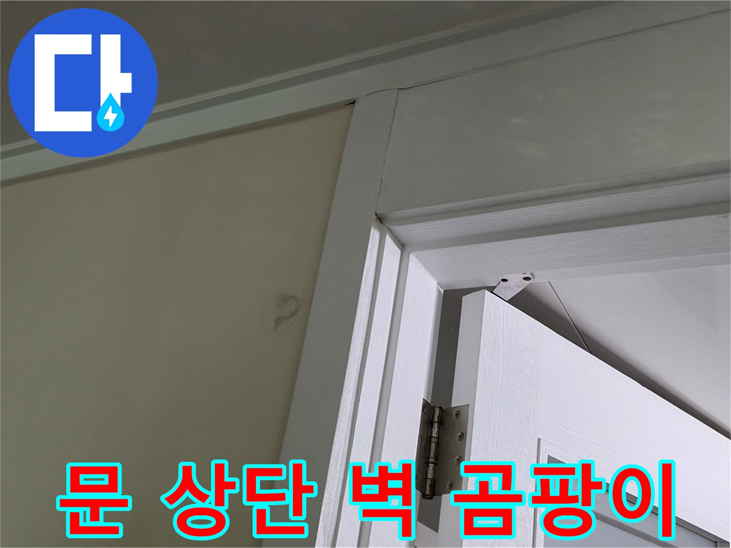 성남 분당 운중동 산운마을 - 문 상단 벽 모서리에 핀 곰팡이 - 누수 경로를 추적하여 정확한 원인을 찾아냅니다.