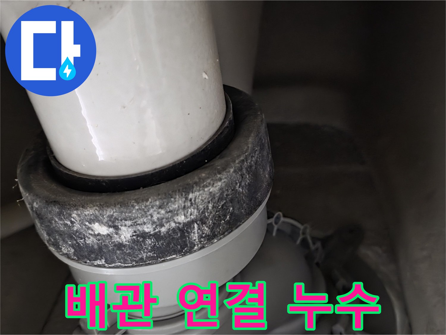 성남 분당 운중동 산운마을 변기 누수 - 배관 연결 부위에서 누수 발생
