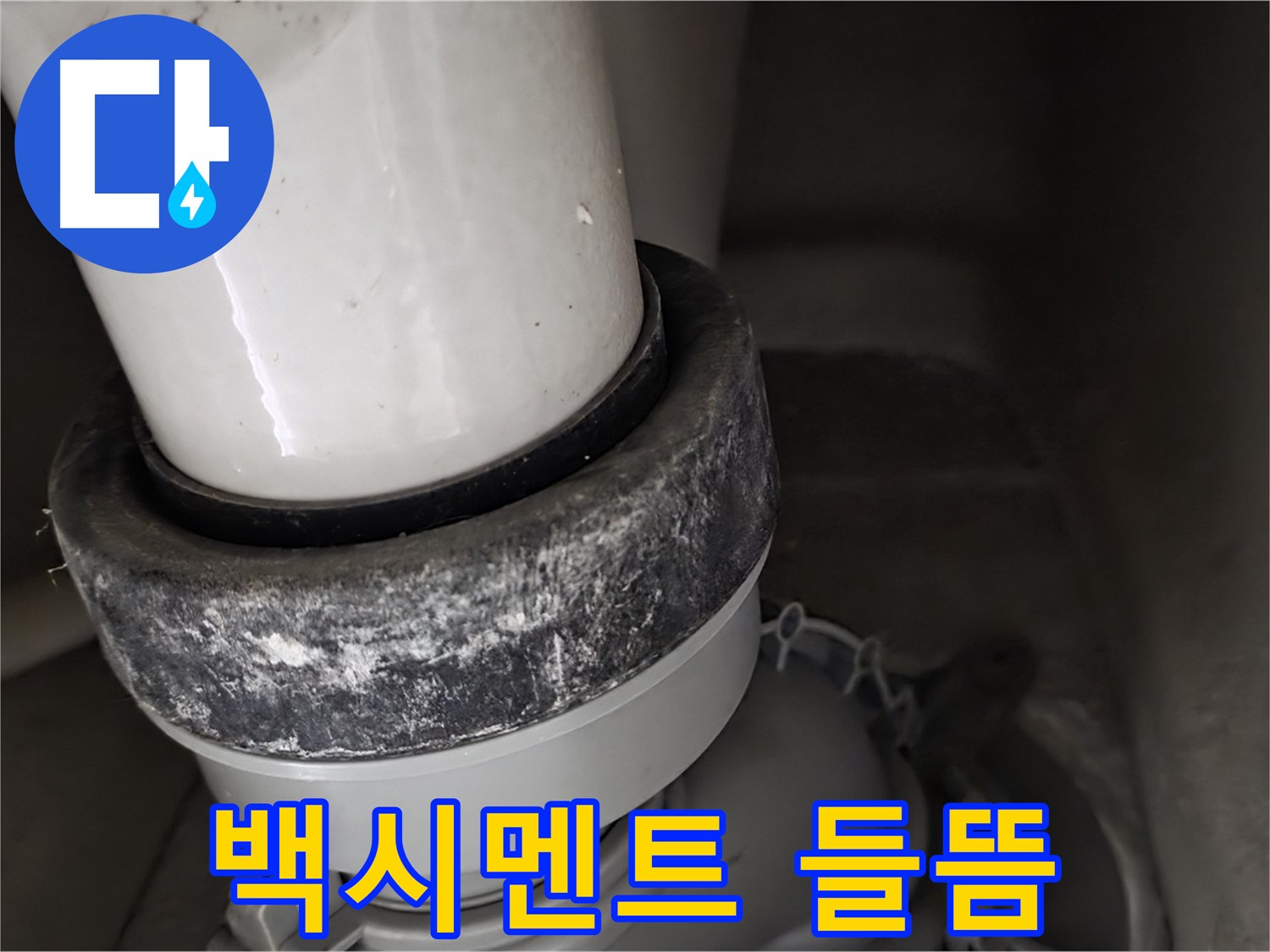 성남 분당 운중동 산운마을 변기 누수 - 변기 하부 백시멘트 들뜸 현상 확인