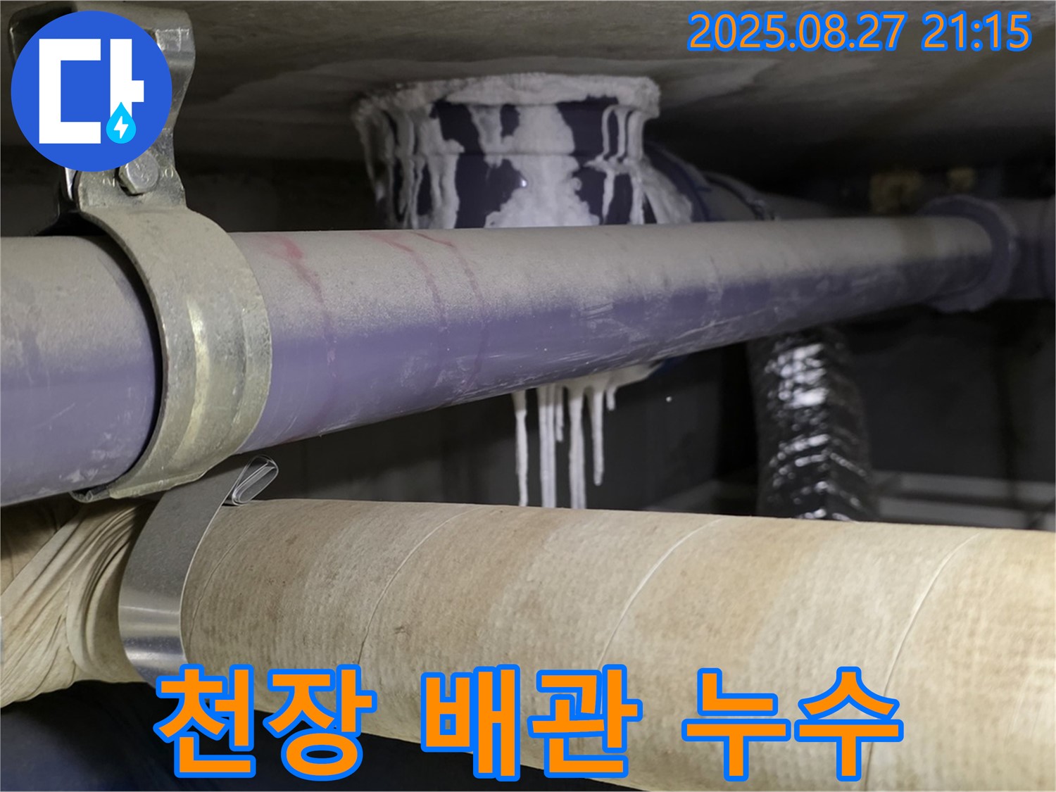 성남시 분당구 산운로 아파트 천장 배관에서 발생한 누수 - 천장에서 물이 떨어지고 있습니다.