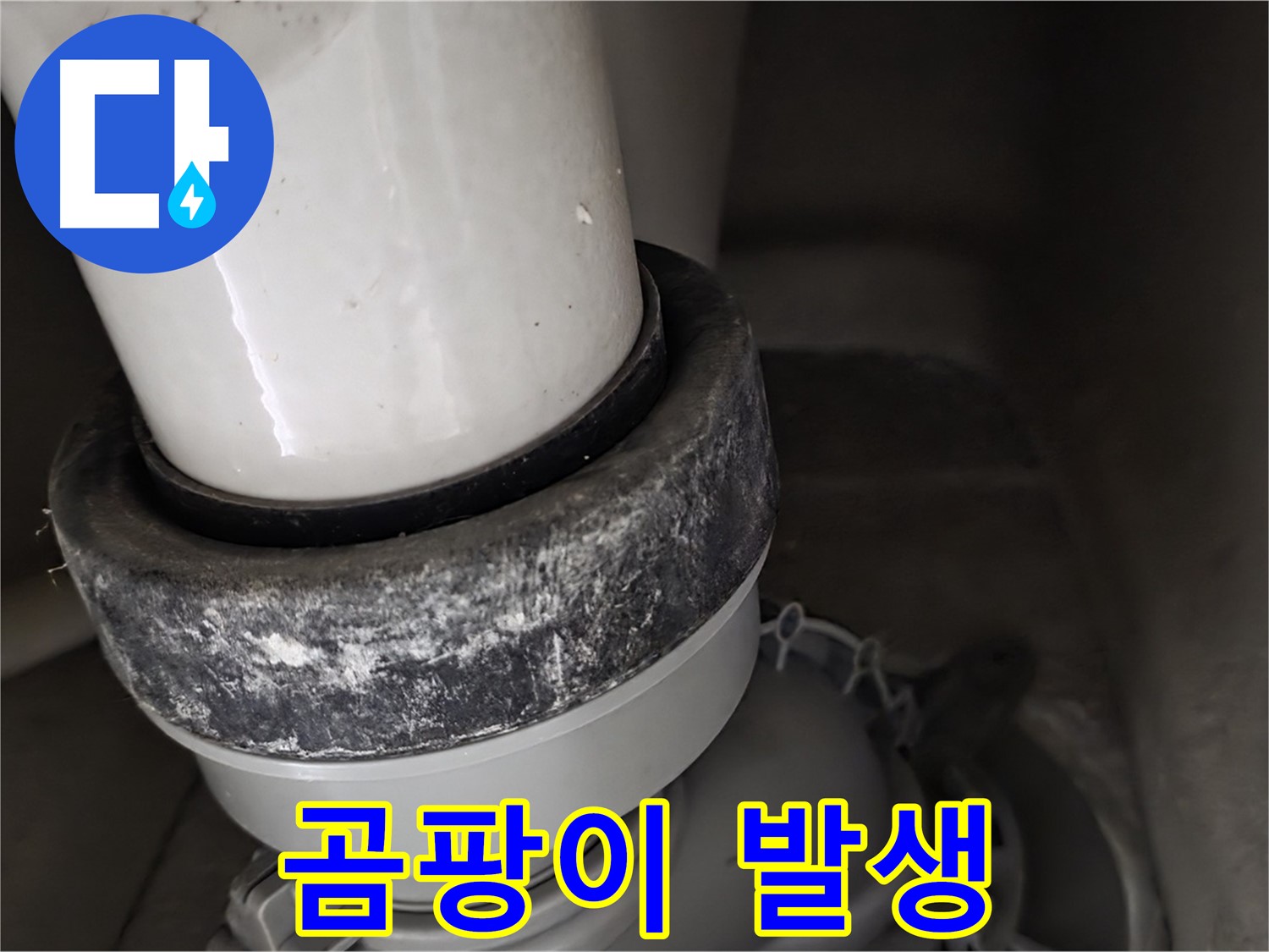성남시 분당구 운중동 산운로 변기 누수 - 곰팡이 발생으로 인한 위생 문제