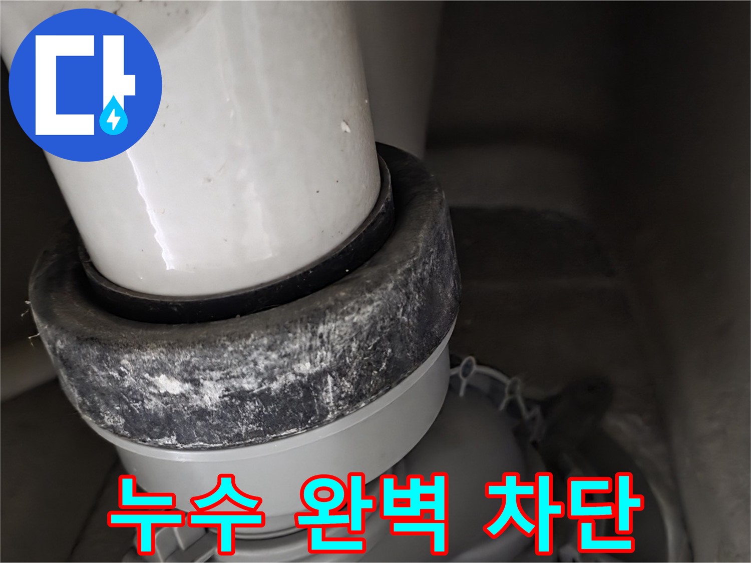성남시 분당구 운중동 산운마을 변기 누수 - 오수관 누수 완벽하게 차단