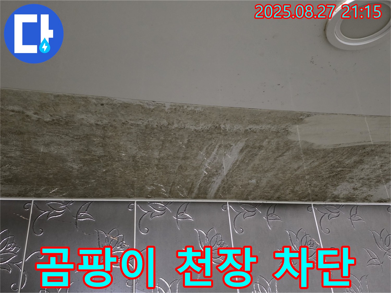 성남시 분당구 운중동 산운마을 아파트 - 곰팡이 핀 천장 누수, 완벽한 누수 차단 시공으로 해결합니다.