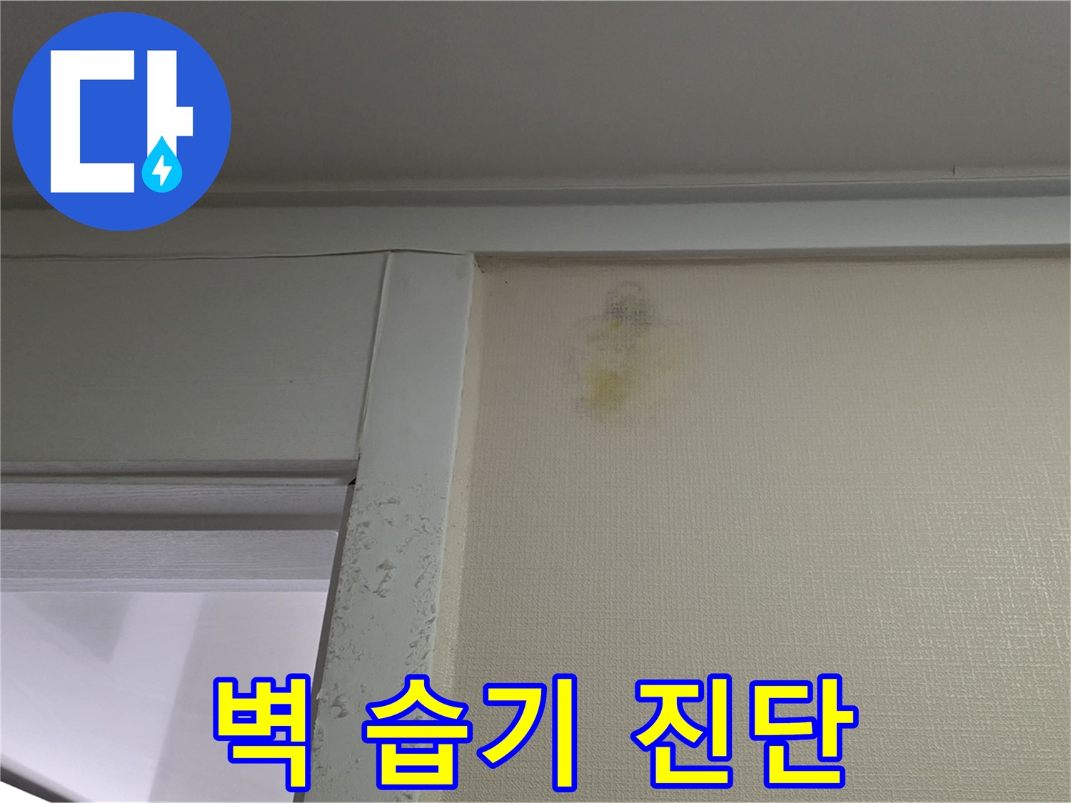 성남시 분당구 운중동 산운마을 아파트 벽 습기 - 누수 초기 의심