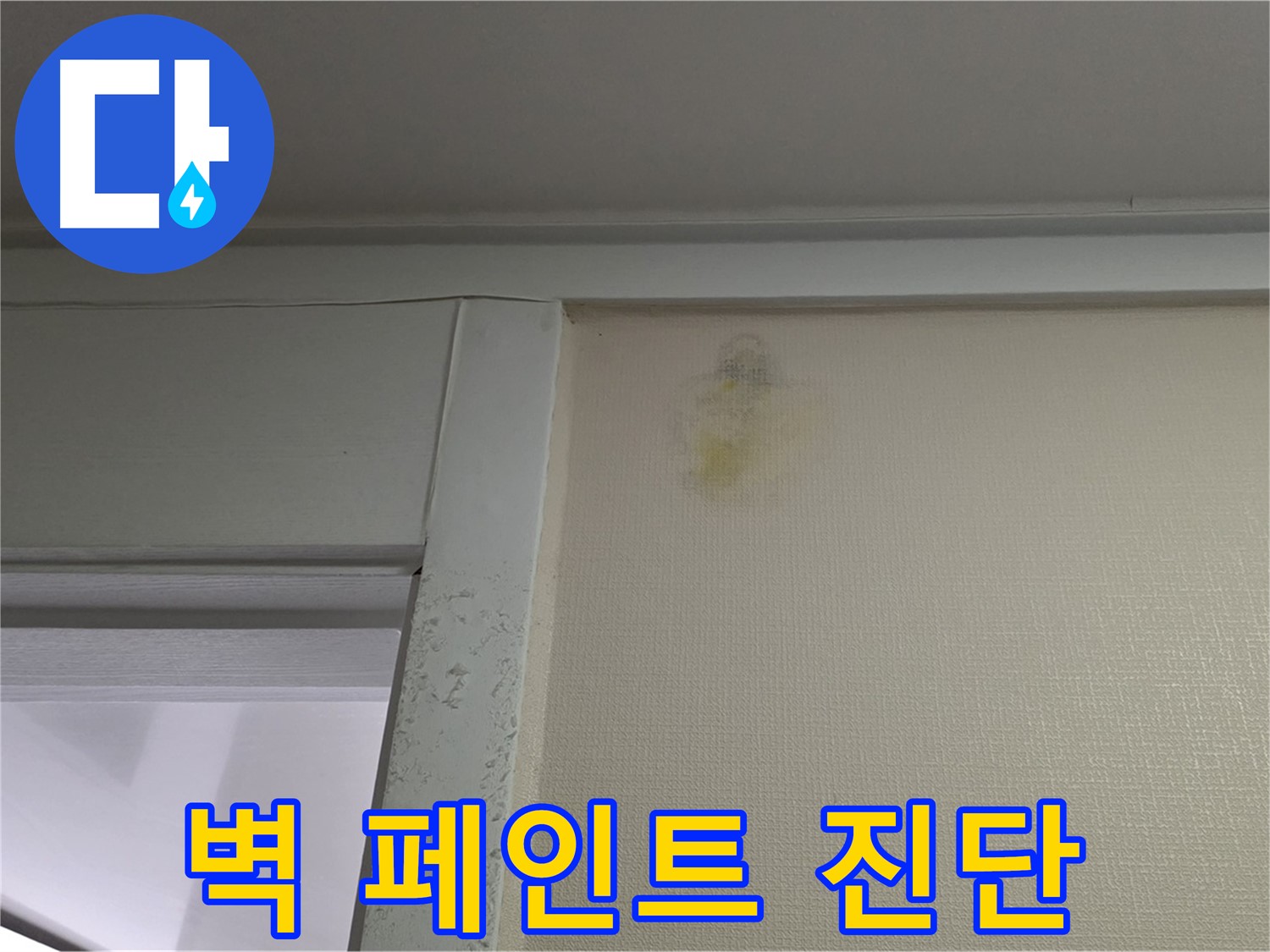 성남시 분당구 운중동 산운마을 아파트 - 벽 페인트 들뜸 초기 누수 의심