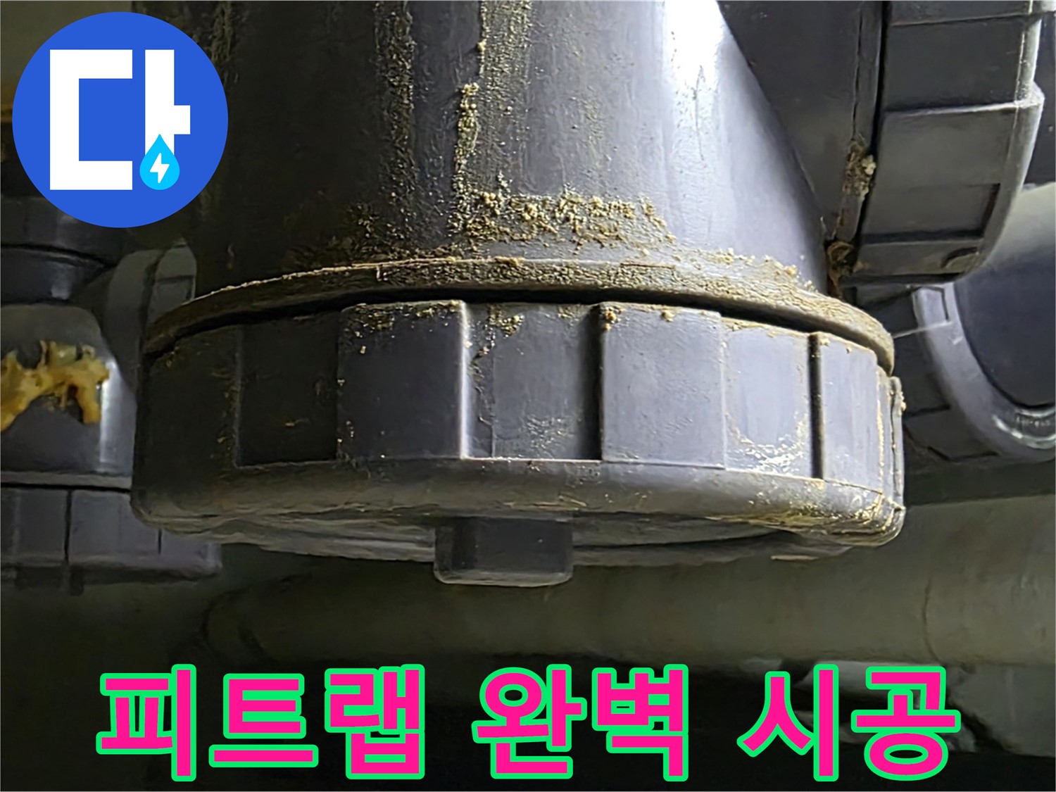 성남시 분당구 운중동 피트랩 누수 - 완벽 시공 및 배수관 관리 약속