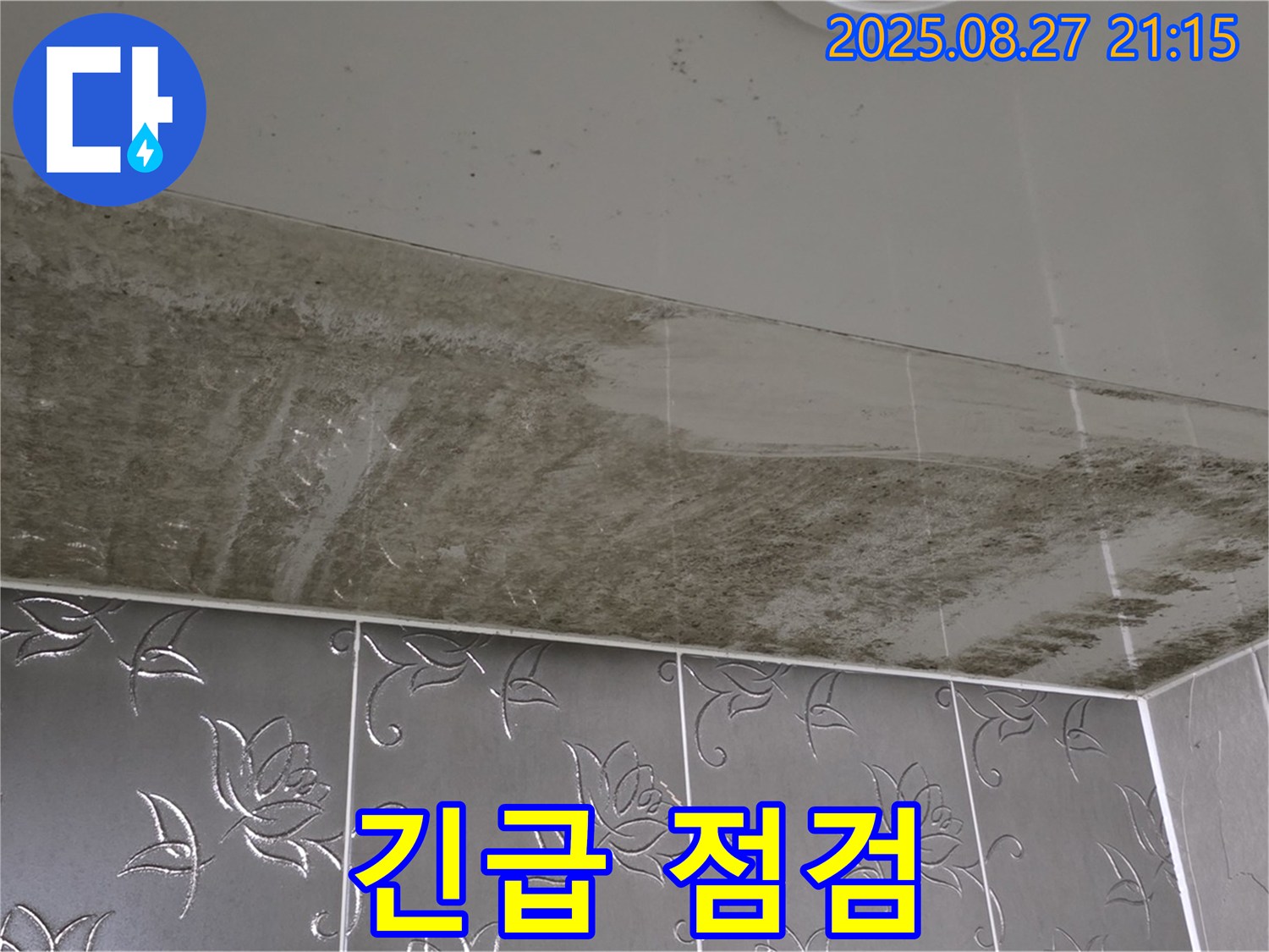 심각한 욕실 천장 곰팡이 - 곰팡이 쇼크를 받은 상황에서 긴급 점검만이 살길임을 보여주는 이미지입니다.