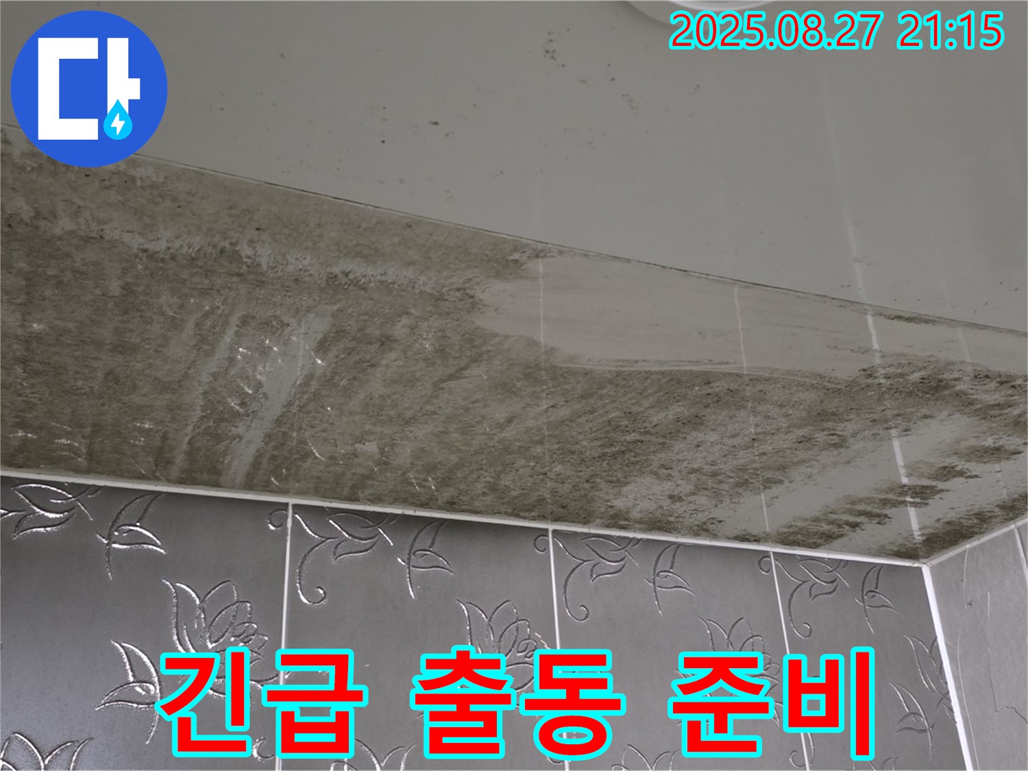 심각한 욕실 천장 곰팡이 - 곰팡이와의 전쟁을 선포하고 긴급 출동 준비를 완료한 전문가의 모습을 담은 이미지입니다.