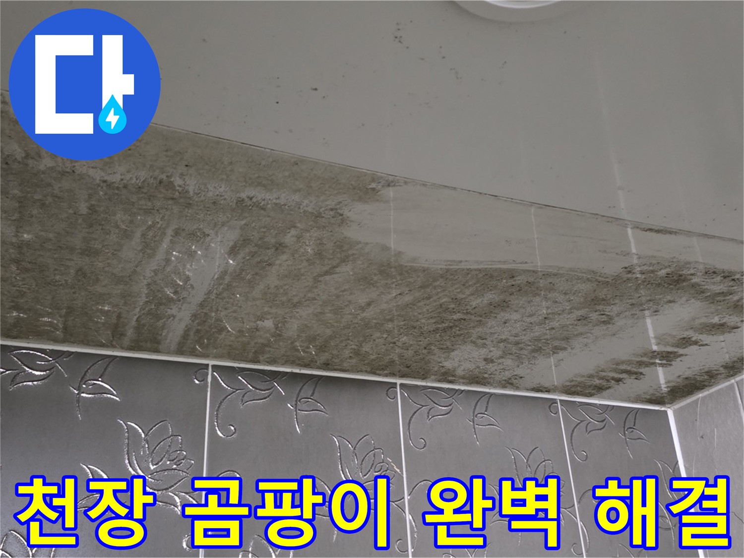 욕실 천장 곰팡이 - 누수 원인 해결 후 깨끗하게 제거된 완벽한 결과