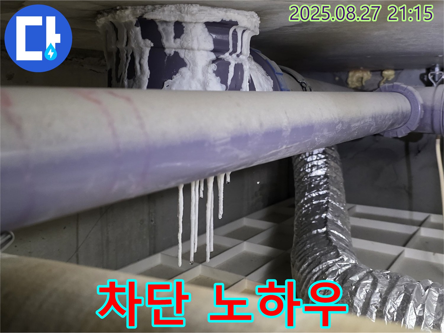 운중동 누수 현장 - 석회 낙수와 배관 부식 문제를 완벽하게 차단하는 노하우를 공개합니다 - 누수 걱정 이제 그만!