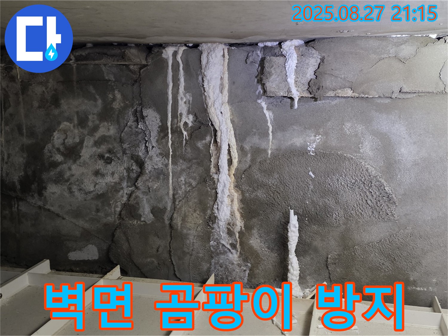 운중동 산운로 주차장 벽면 - 곰팡이와 백화현상 재발을 완벽하게 막는 전문적인 솔루션을 제공하는 누수 클리닉의 모습을 담았습니다.