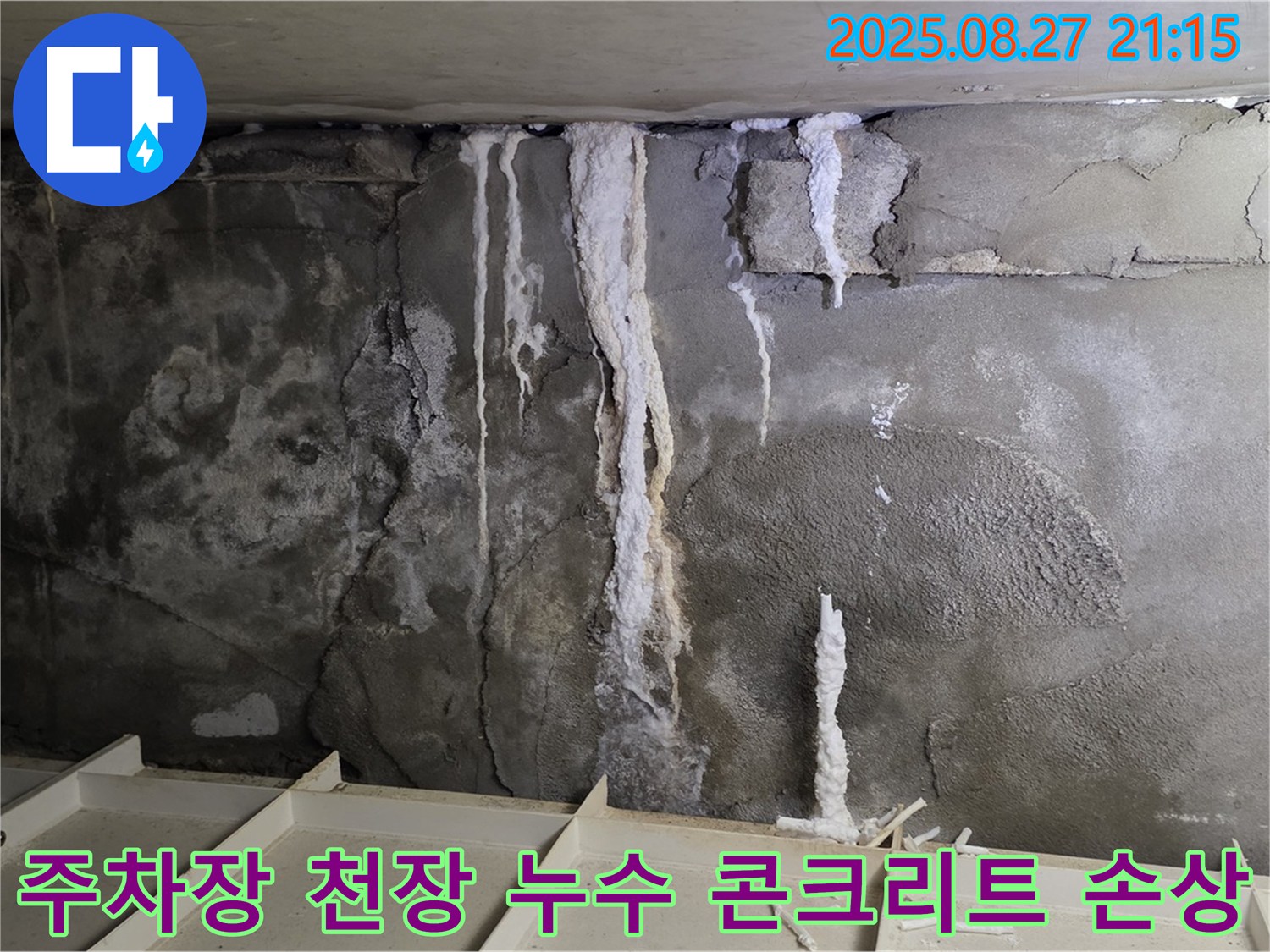 운중동 산운마을 6단지 지하 주차장 천장 누수 - 누수 흔적과 함께 콘크리트 손상이 진행되는 상황을 보여줍니다.