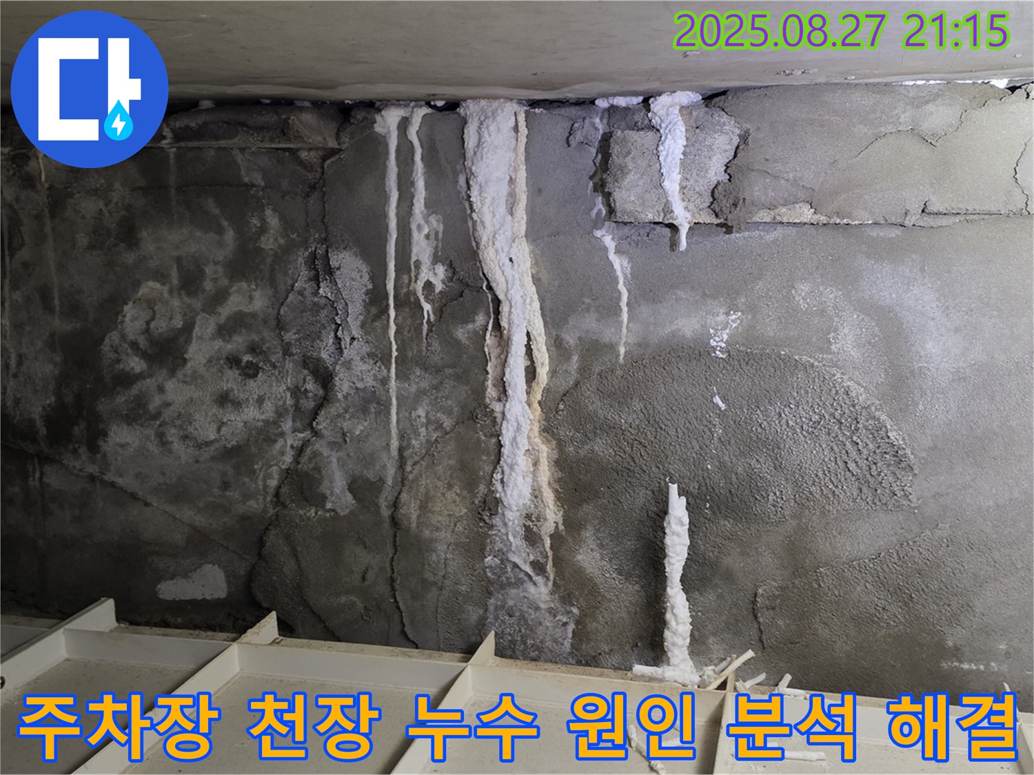 운중동 산운마을 6단지 지하 주차장 천장 누수 - 첨단 장비를 이용한 정밀 분석으로 누수 원인을 완벽하게 파악하고 해결하는 과정을 담았습니다.