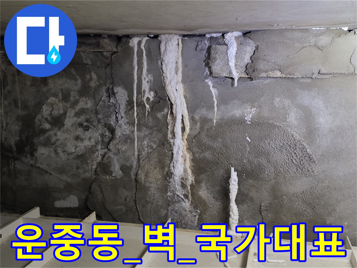 운중동 콘크리트 벽 - 아마추어 시공, 석회수 재발, 국가대표 실력