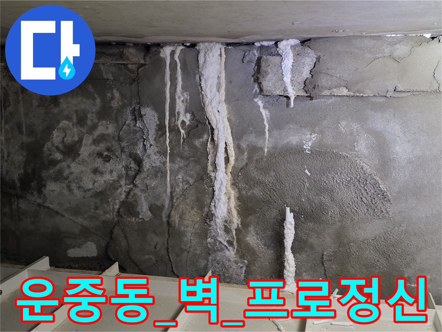 운중동 콘크리트 벽 - 어설픈 시공, 석회수 재발, 프로 정신 완벽 시공