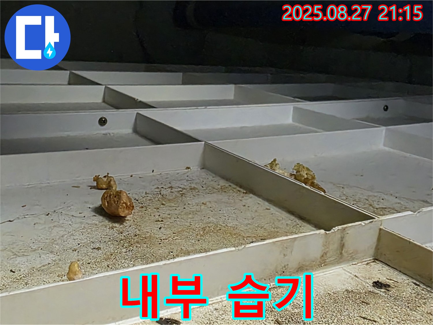 천장 누수 - 석고보드 내부 습기 가득 - 곰팡이 발생 위험