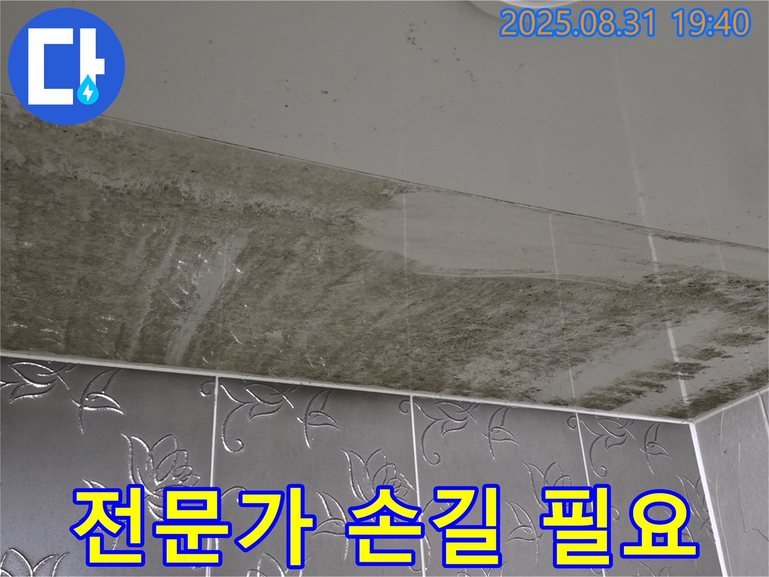 곰팡이 가득한 욕실 천장 - 전문가만이 해결 가능