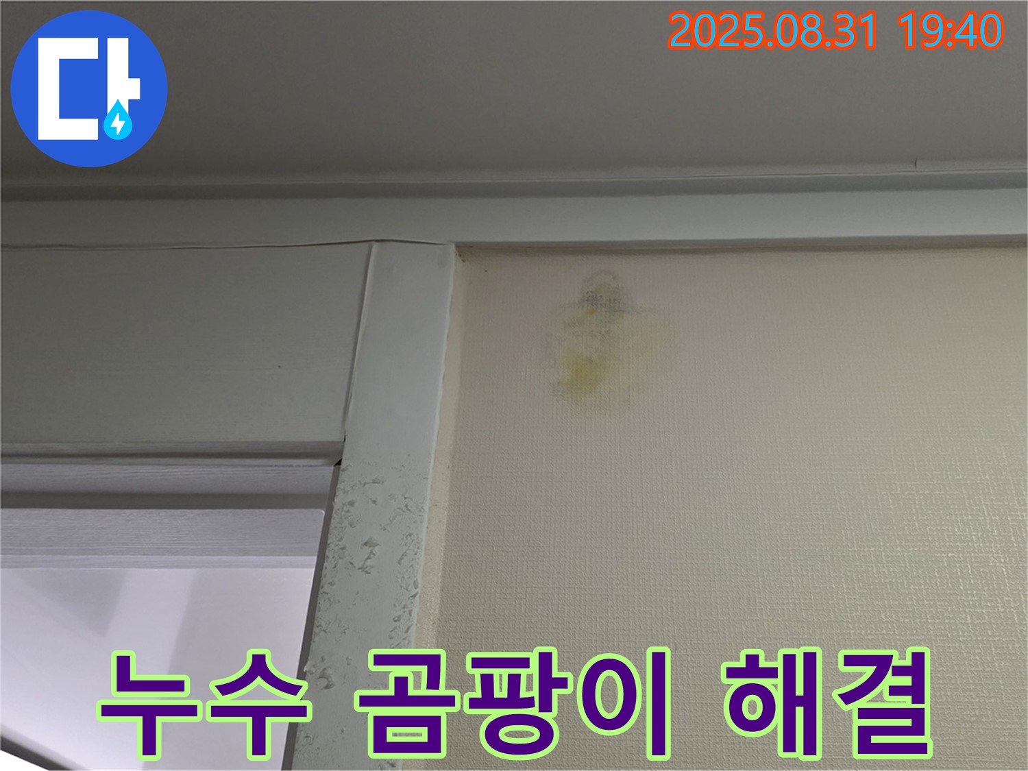 누수 곰팡이 해결 - 성남 분당 산운로 누수 - 전문가 상담