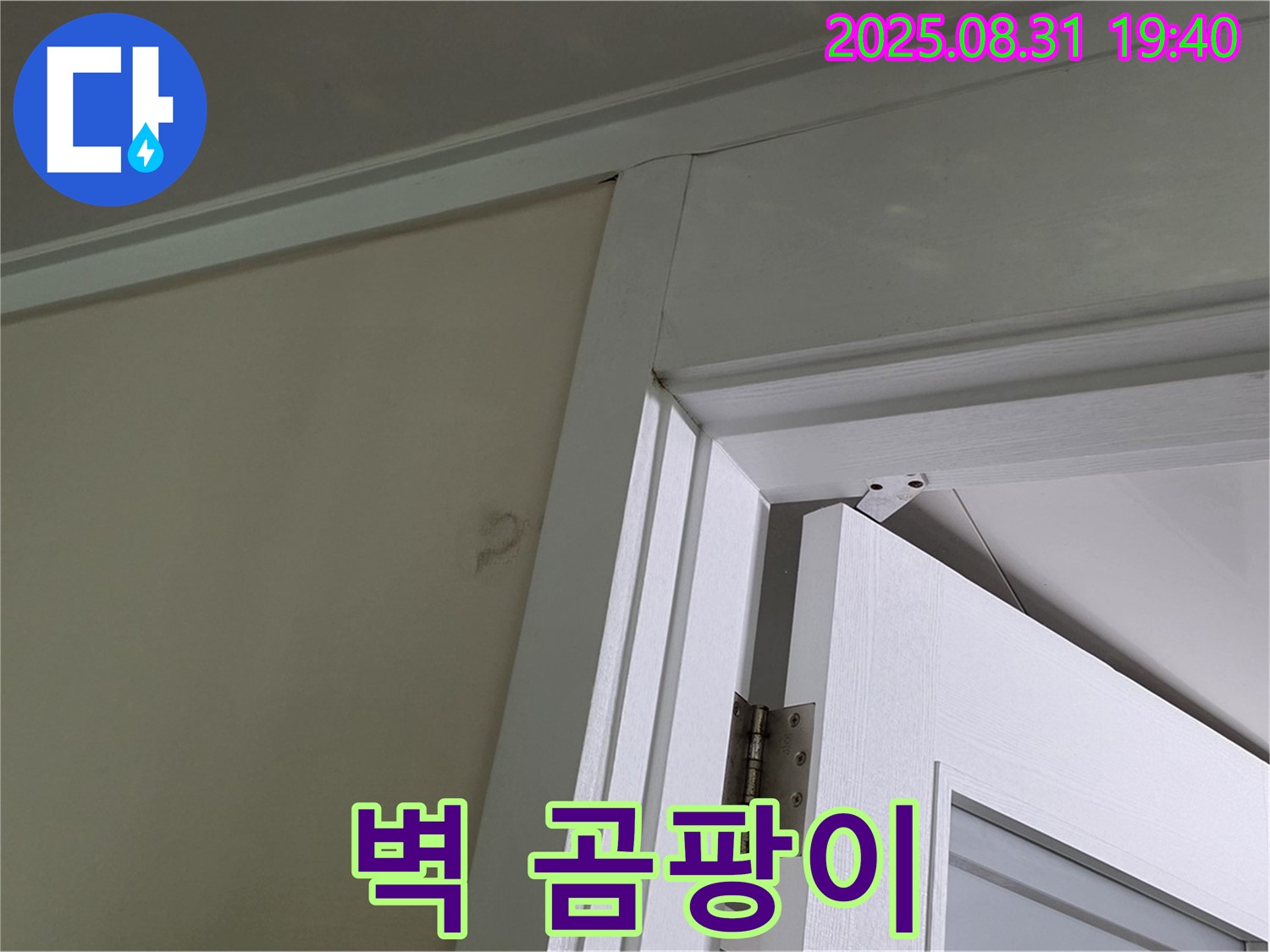 벽 곰팡이 - 문 위쪽 벽에 곰팡이가 발생했습니다.