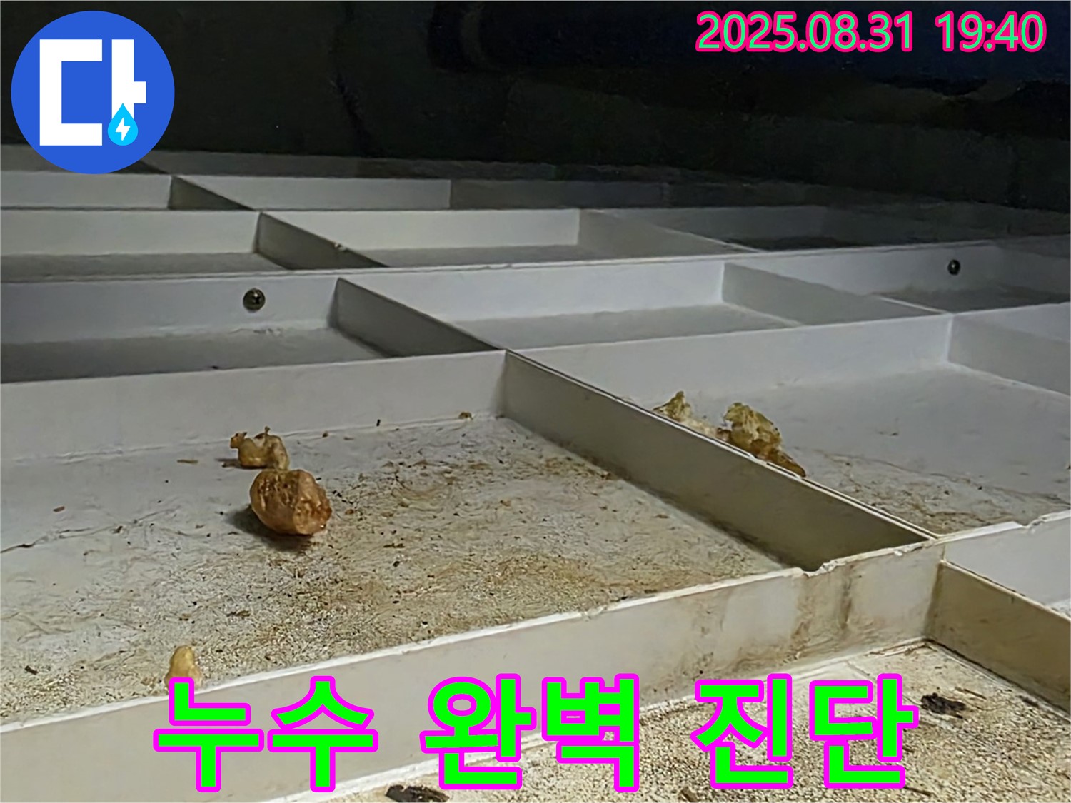분당 누수 - 산운로 누수 문제 완벽 진단 과정
