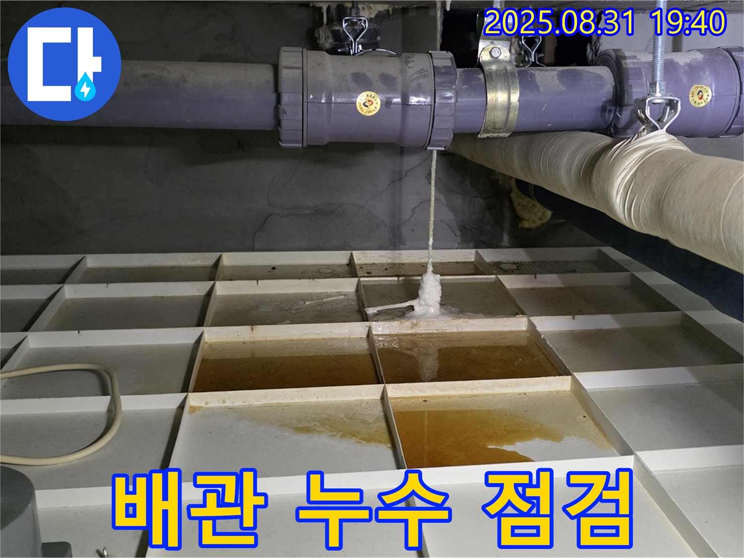 분당 백현동 누수 현장 - 배관 누수 여부 꼼꼼하게 점검