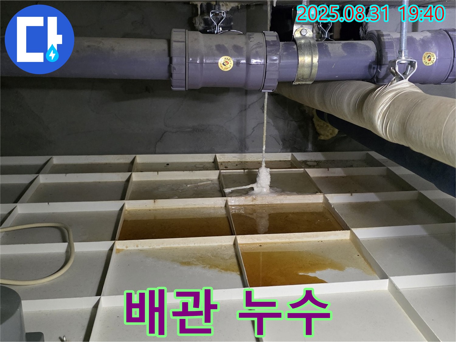 분당 백현동 누수 현장 - 배관에서 누수가 발생한 모습