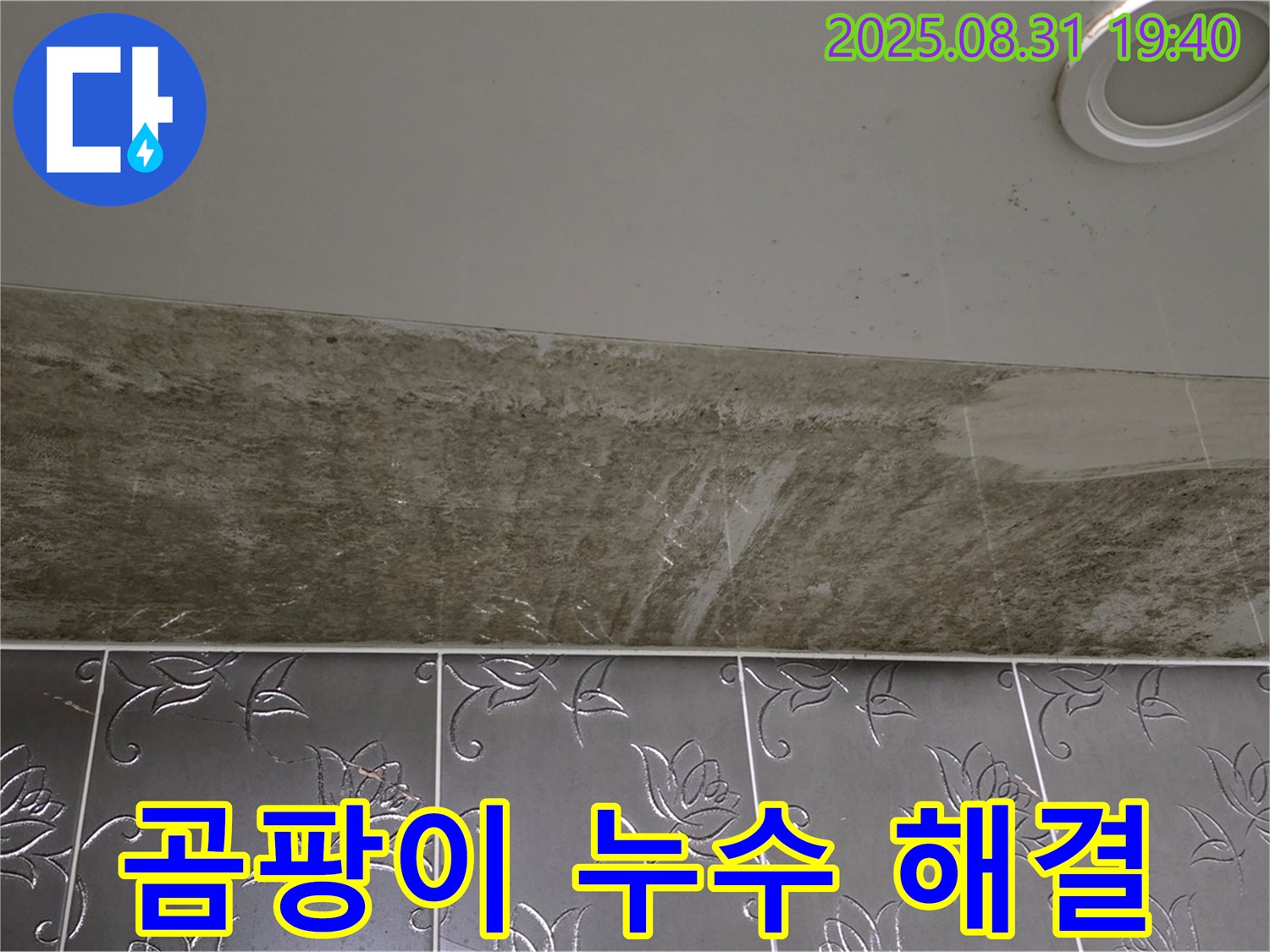 분당 백현동 욕실 천장 누수 - 곰팡이 문제까지 완벽하게 해결!