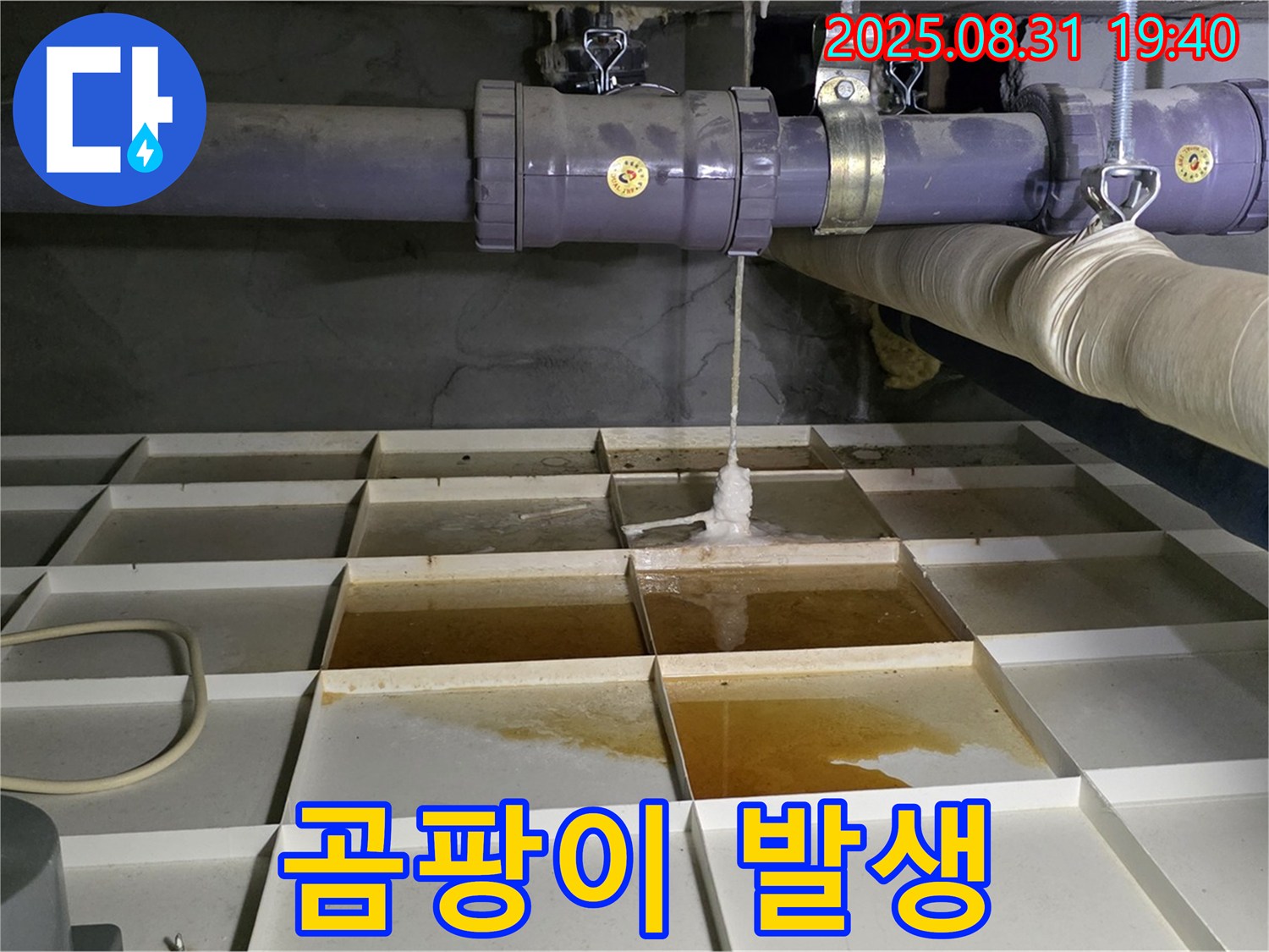분당 산운로 누수 - 물탱크 주변 습기로 인해 곰팡이 발생 - 건강에 해로울 수 있습니다.