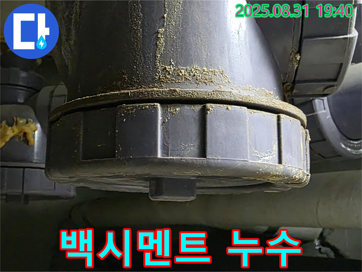 분당 산운로 주택 누수 - 백시멘트 땜질 부위에서 누수가 발생하고 있습니다