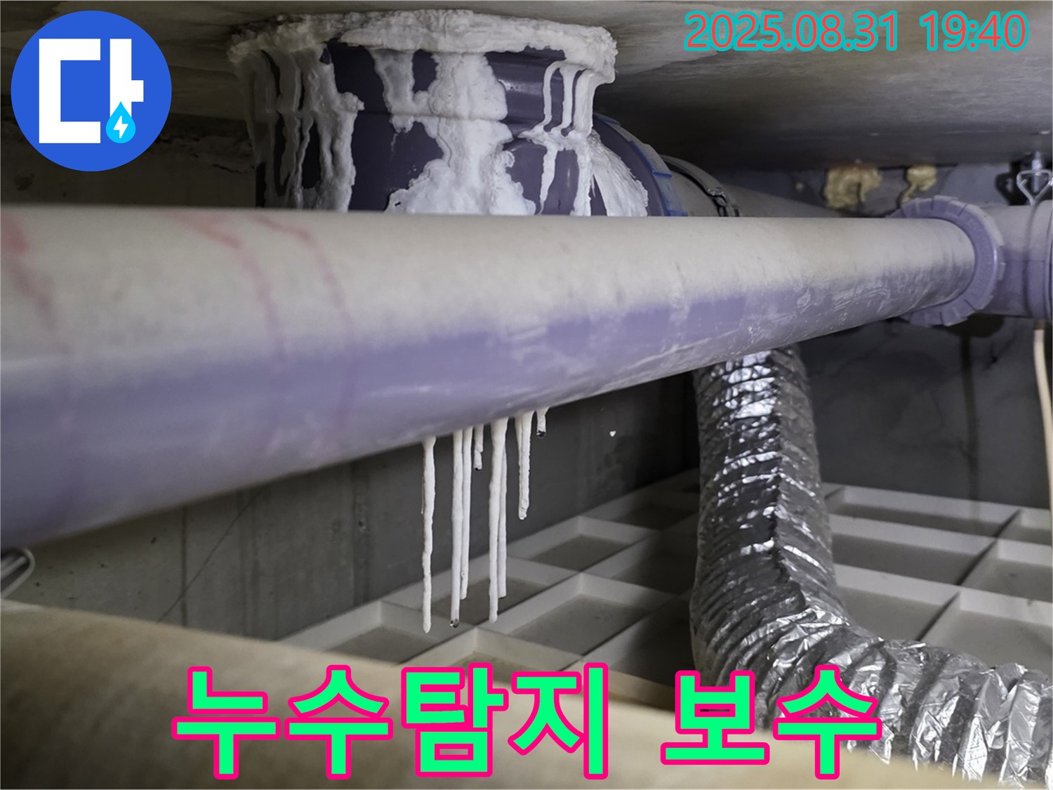 분당 산운로 주택 누수탐지 및 보수 작업 - 정확한 탐지와 꼼꼼한 시공으로 누수 문제를 완벽하게 해결합니다.