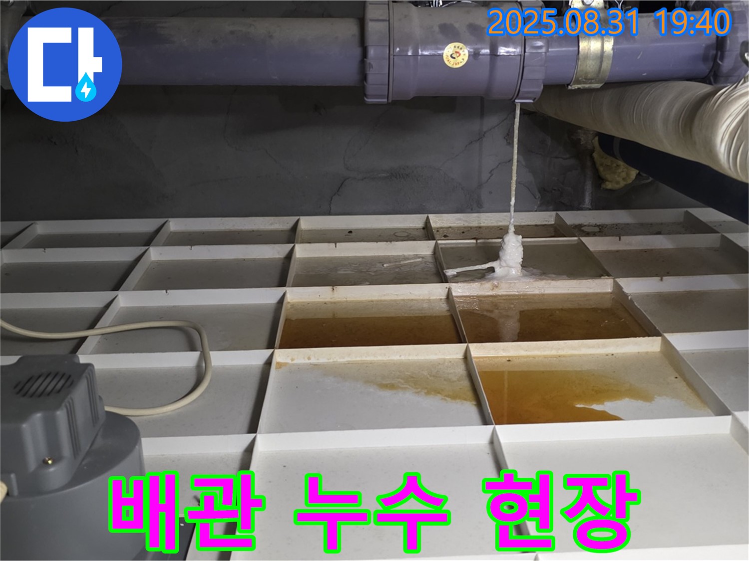 분당 산운로에서 발생한 배관 누수 현장 - 누수탐지 전문가가 정확하게 진단하고 해결합니다.