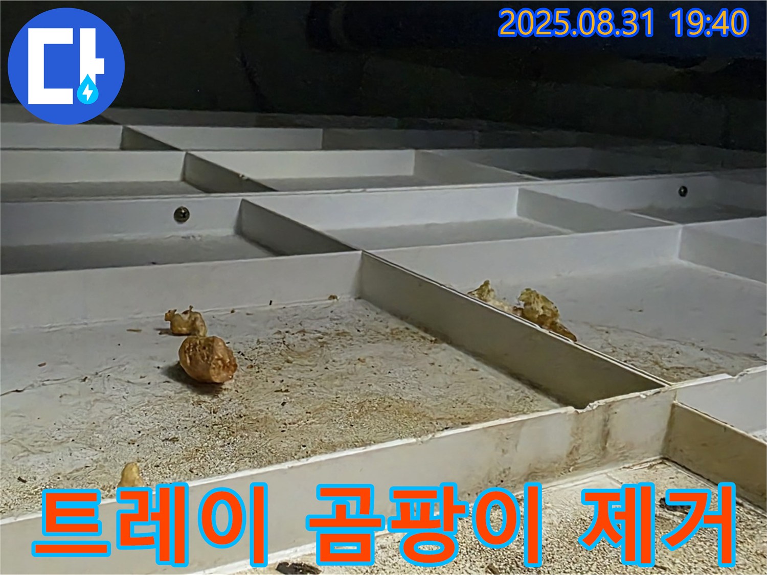 분당 삼평동 누수 - 천장 배수 트레이 곰팡이 흔적 깨끗하게 제거