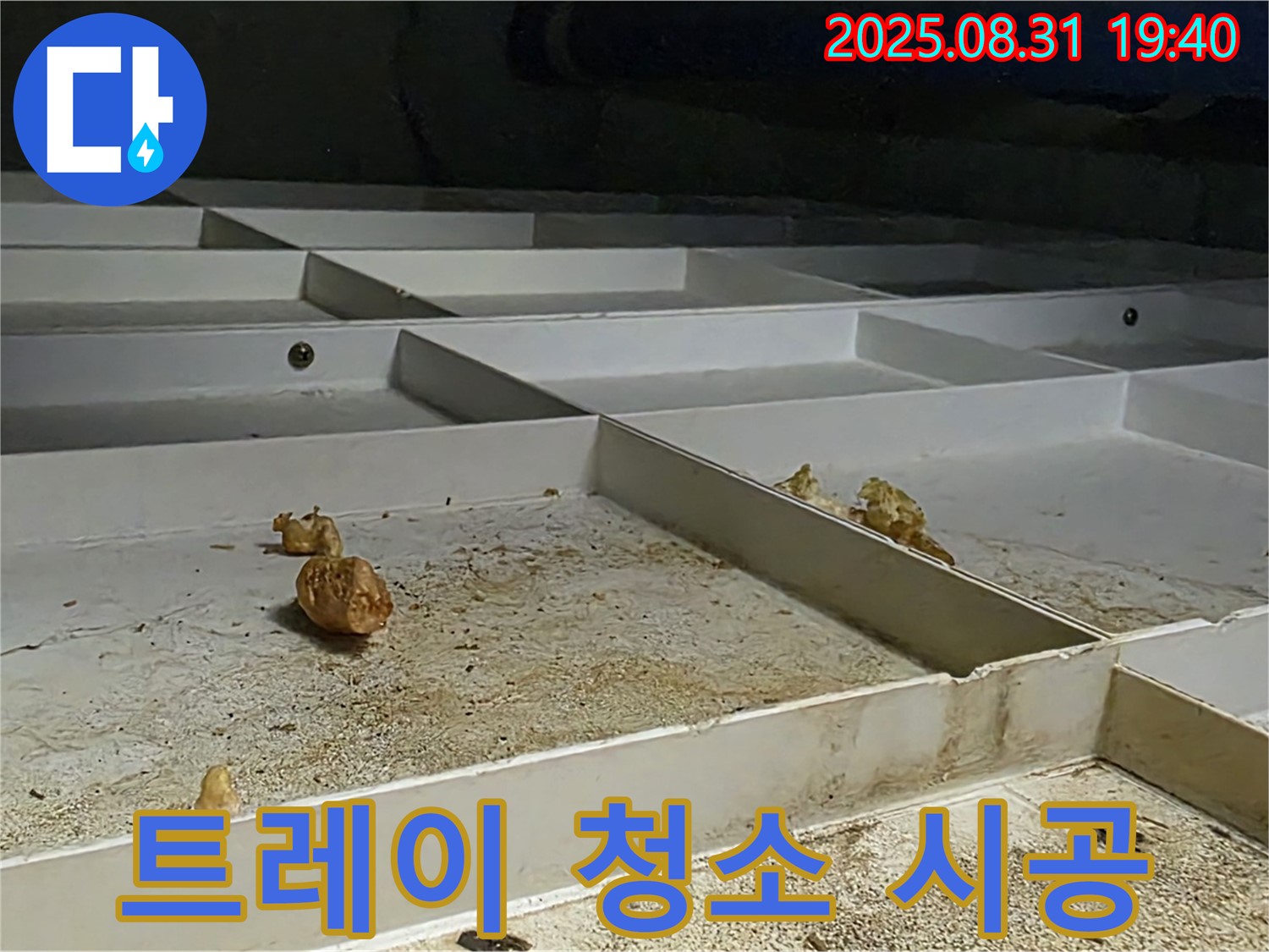 분당 삼평동 누수 - 천장 배수 트레이 완벽하게 청소 시공 완료