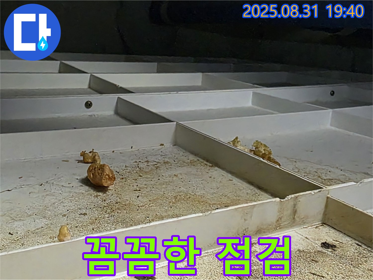 분당 정자동 누수 - 꼼꼼한 점검으로 누수 원인을 완벽하게 해결