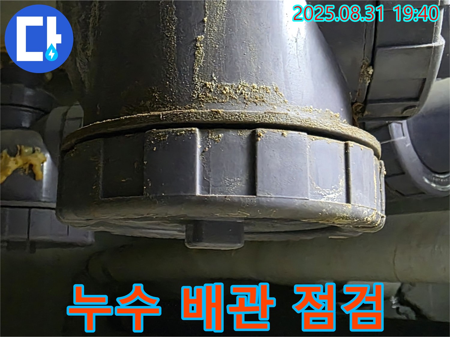 분당 정자동 누수 - 누수된 배관의 상태를 꼼꼼하게 점검