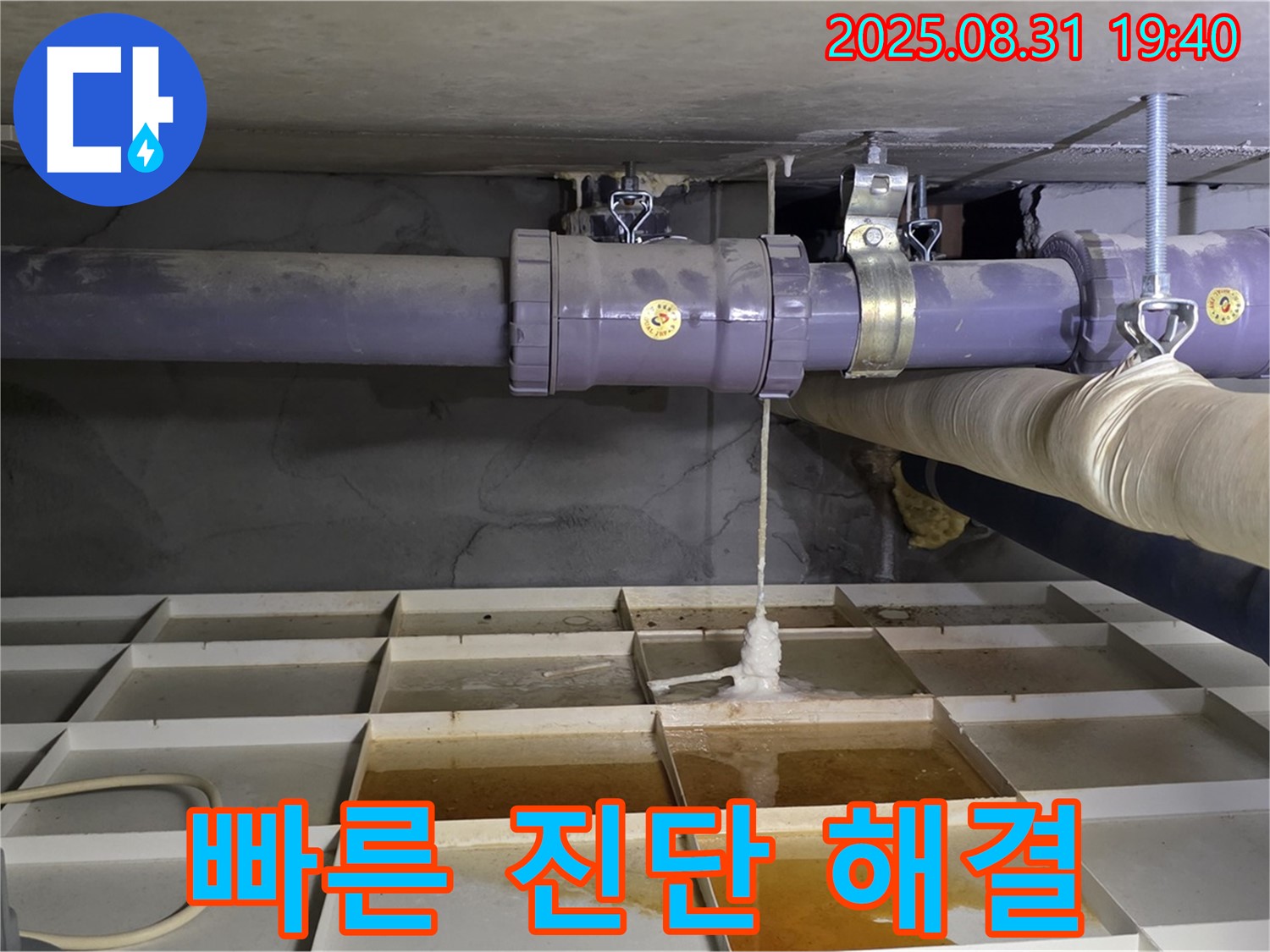 분당 정자동 누수 - 빠른 진단과 신속한 누수 해결