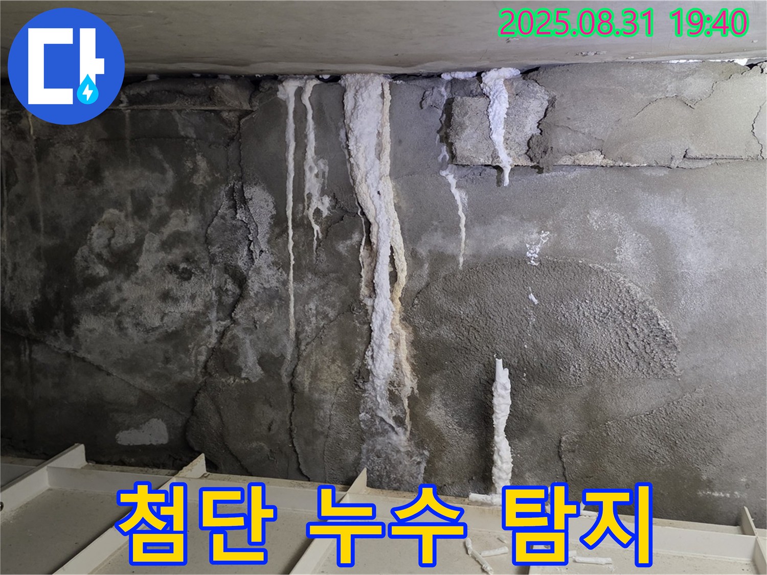 분당 주택 지하 콘크리트 누수 - 열화상 카메라로 콘크리트 내부 숨은 누수 지점 탐지