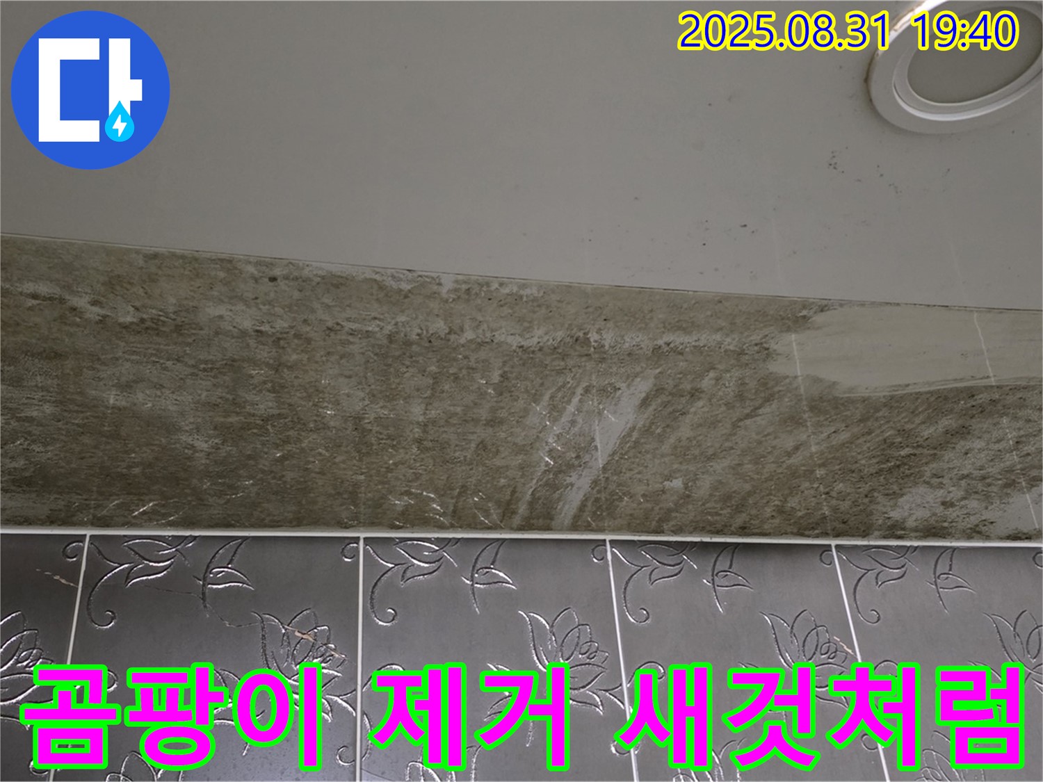 분당구 백현동 곰팡이 핀 욕실 천장 누수 - 완벽한 복구 공사로 새것처럼 깔끔하게 해결!