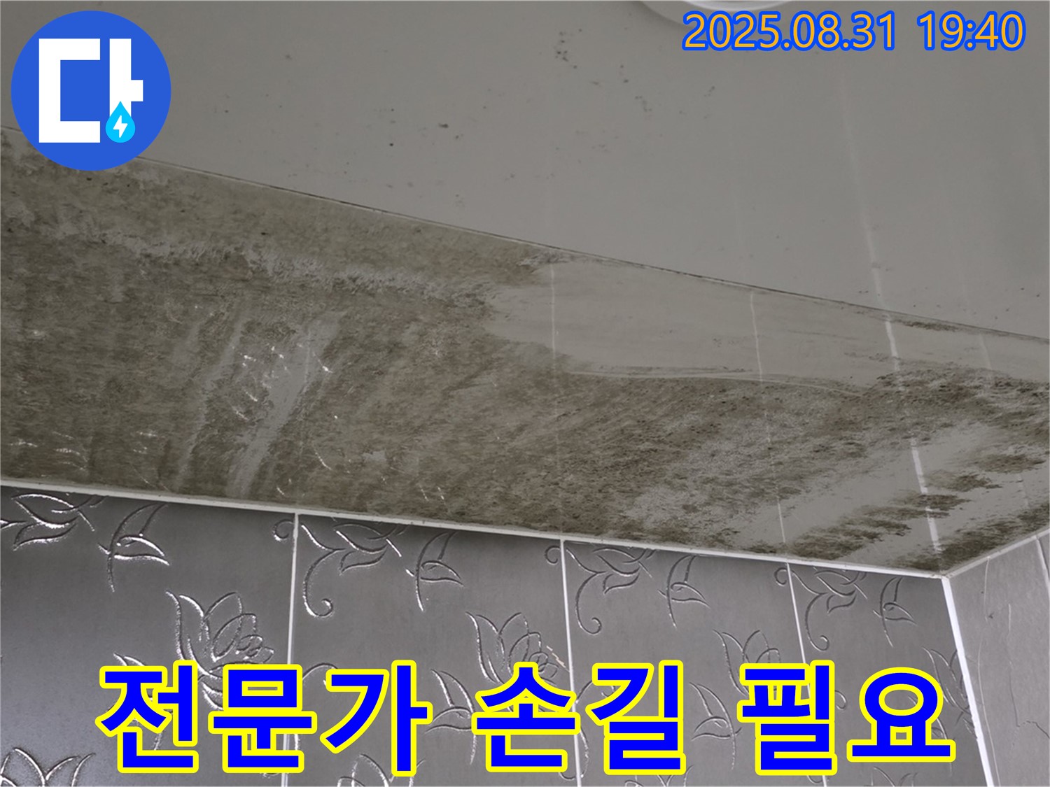 분당구 산운동 아파트 - 곰팡이 가득한 욕실 천장, 전문가만이 해결