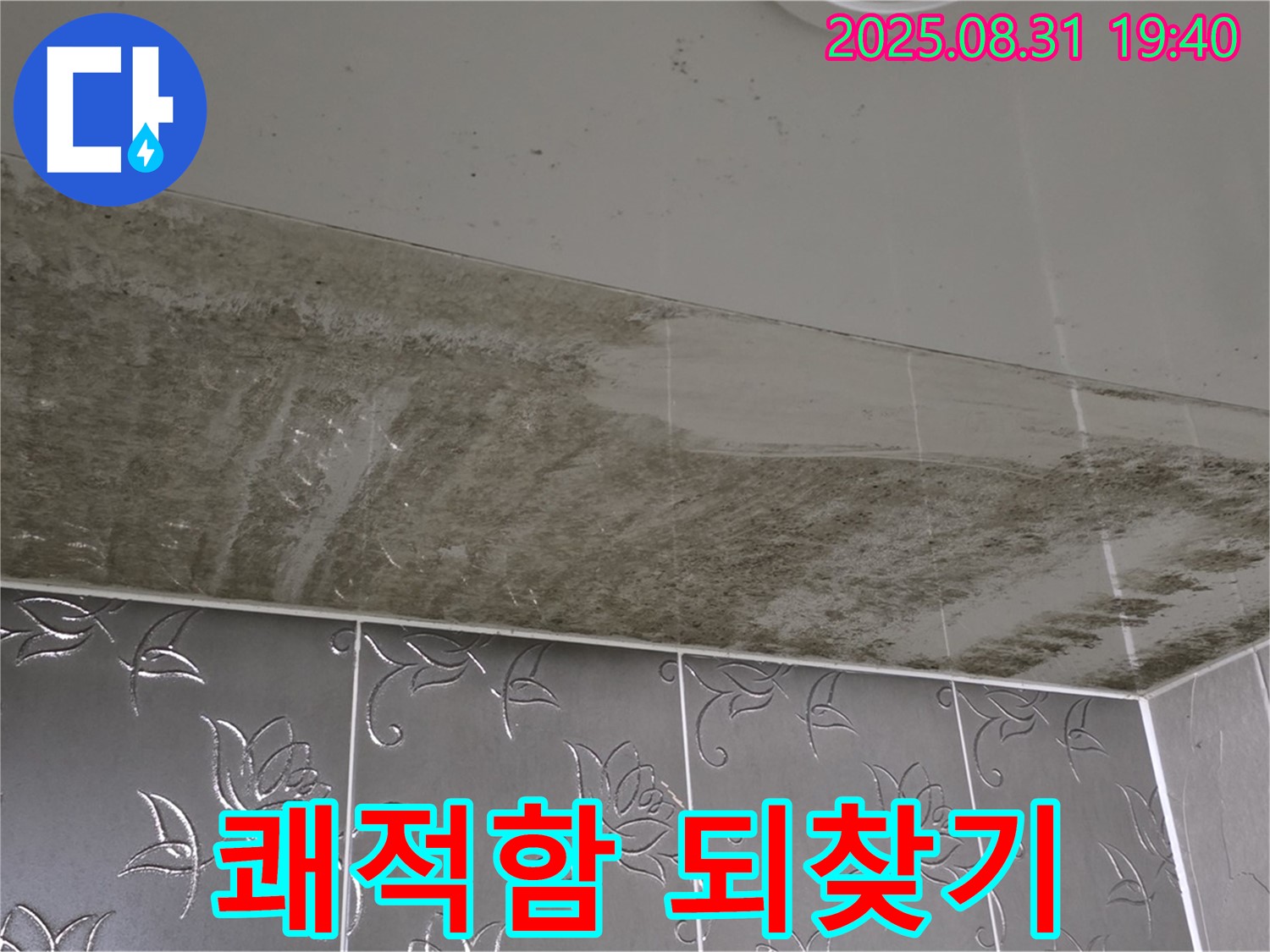 분당구 산운로 - 곰팡이 핀 욕실 - 누수 잡고 쾌적함 되찾기